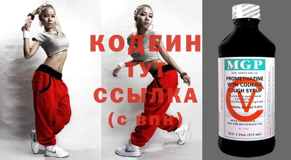 прущие грибы Абаза