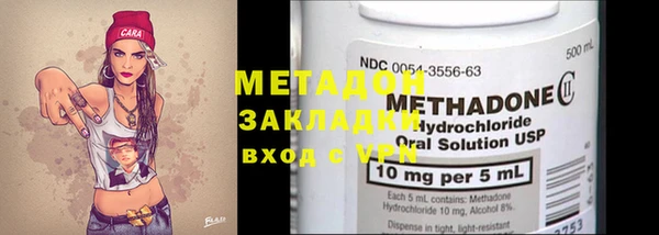 прущие грибы Абаза
