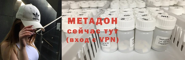 прущие грибы Абаза