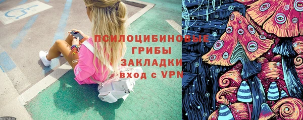 молекула духа Алзамай