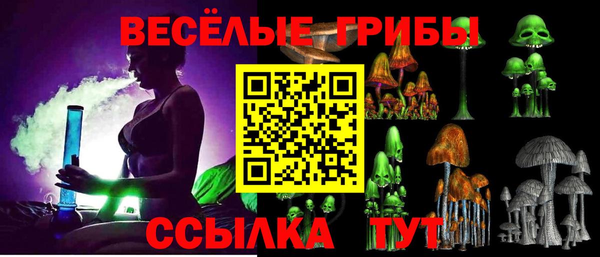 Галлюциногенные грибы ЛСД  Вход с VPN  Кизляр 